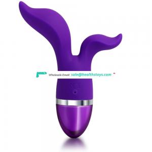 China Supplier 12 Speed Vibrator G Spot Silicone Massagers for Women